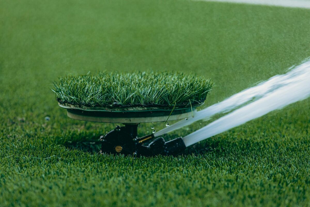 Kaip prižiūrėti veją per visus metus