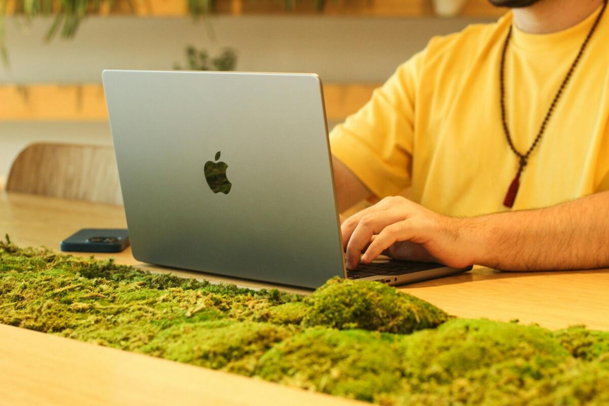 Biofilinis dizainas: kaip gamtą įnešti į namus