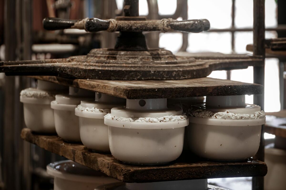 Kaip gaminti naminį sūrį pradedantiesiems