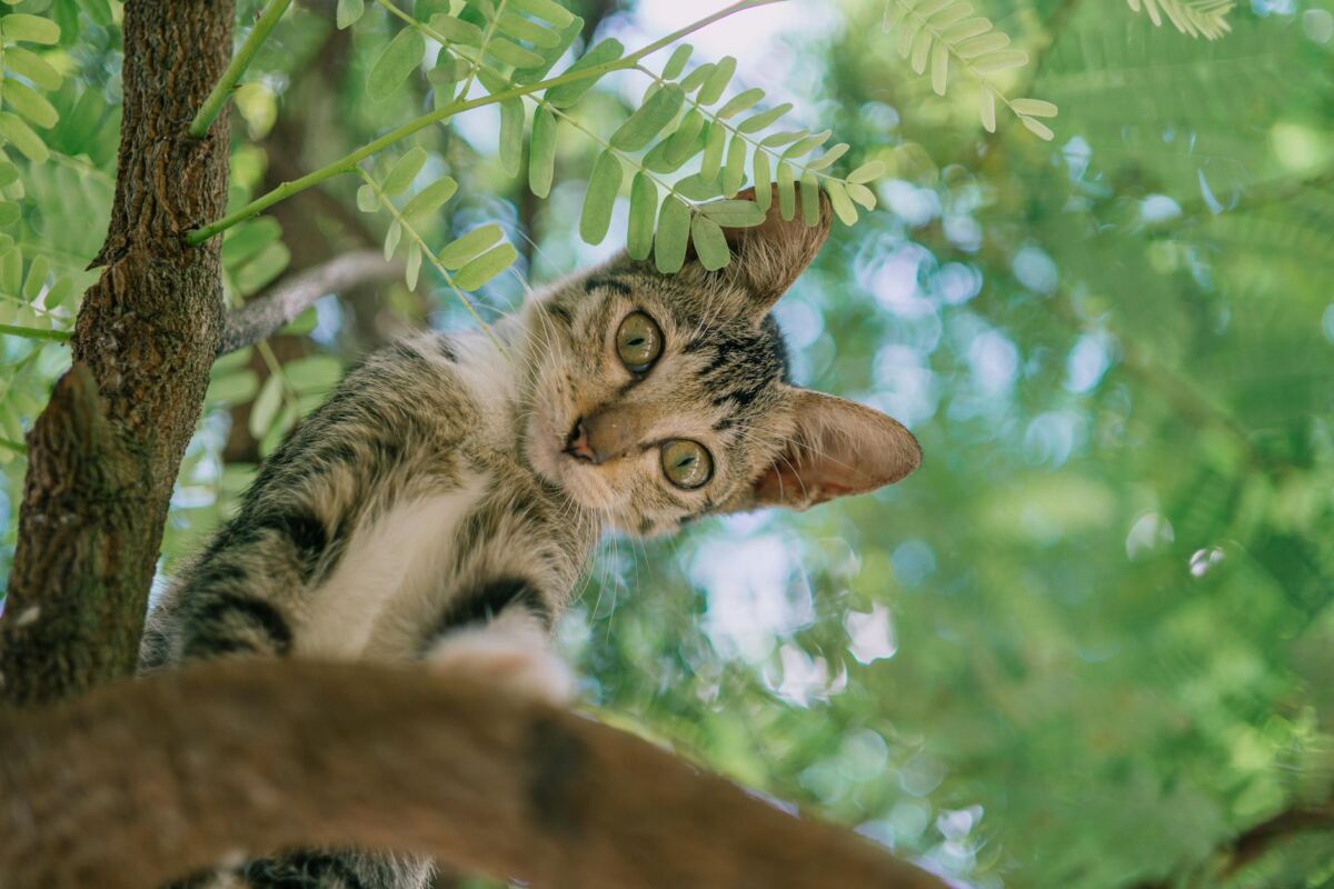 Stebinantys faktai apie šalis kuriuose niekada nebuvote