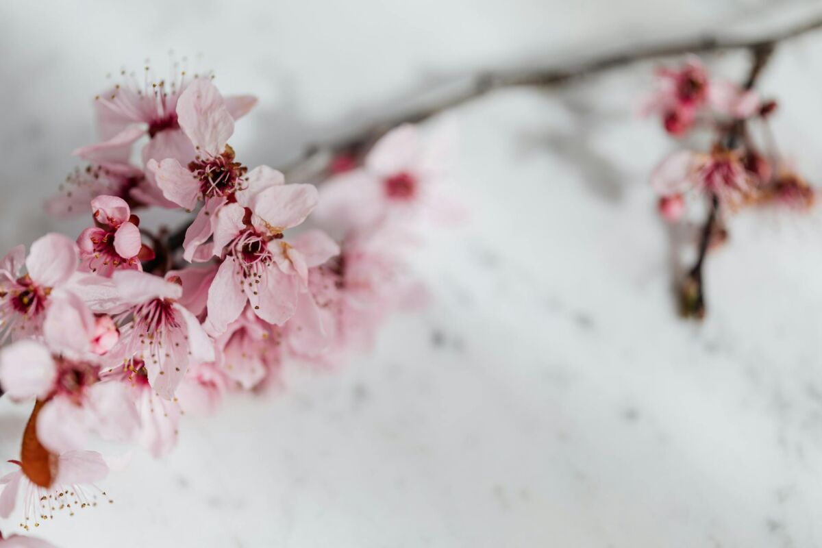 Ceramidai odos priežiūroje: viskas ką reikia žinoti