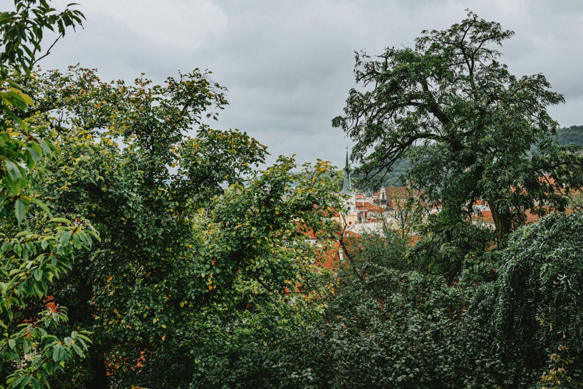 Kaimo turizmas Lietuvoje: neaprašyti perlai šalia namų