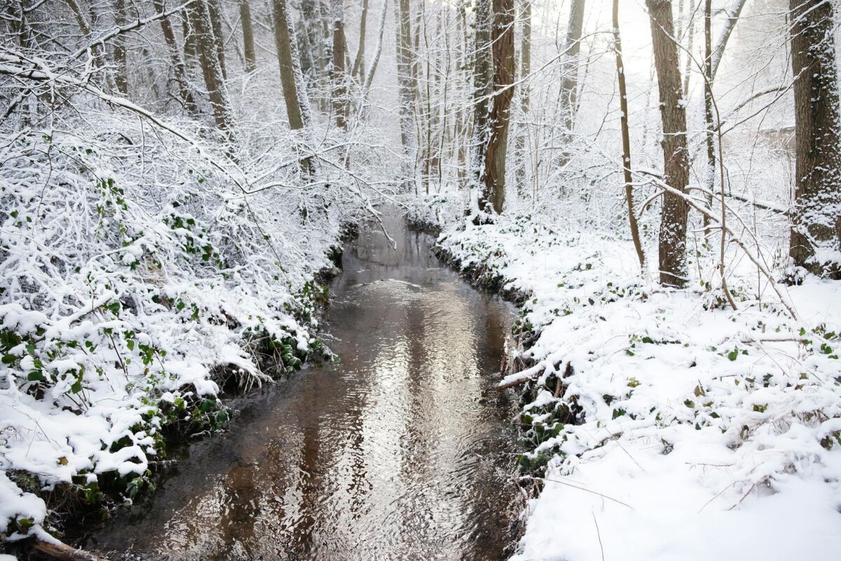 Kaip rūpintis oda žiemą: dermatologo patarimai