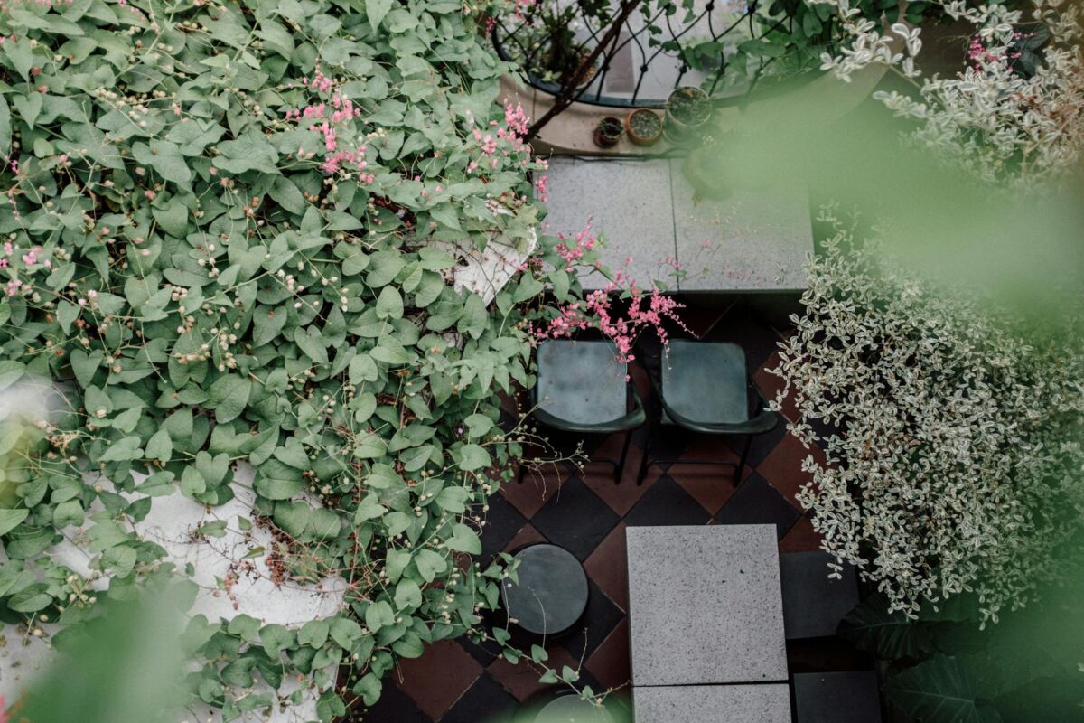 Kaip užauginti daržoves balkone: gidas miestiečiams