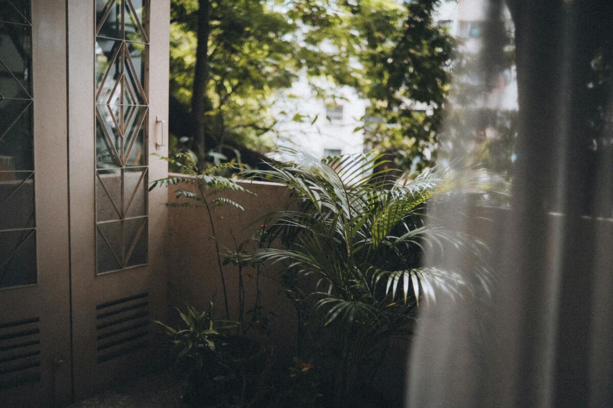 Kaip užauginti daržoves balkone: gidas miestiečiams