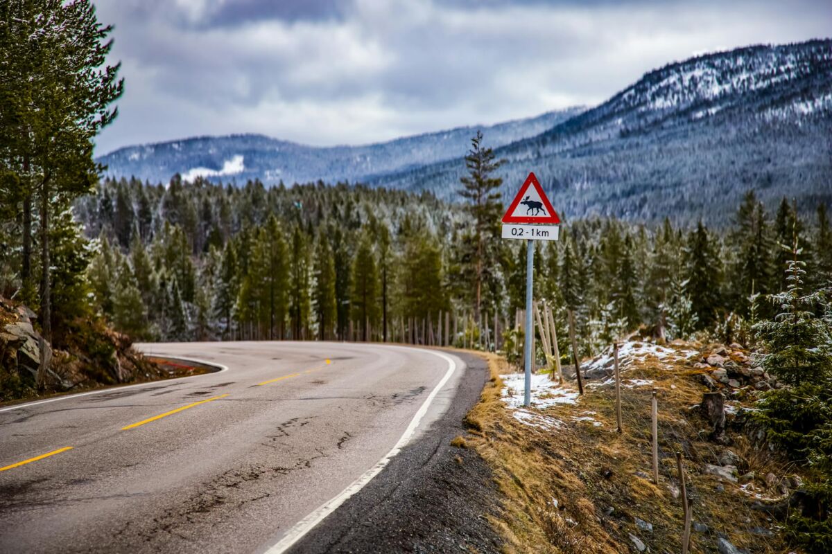 Kelionė į Norvegiją su automobiliu: maršrutas ir patarimai