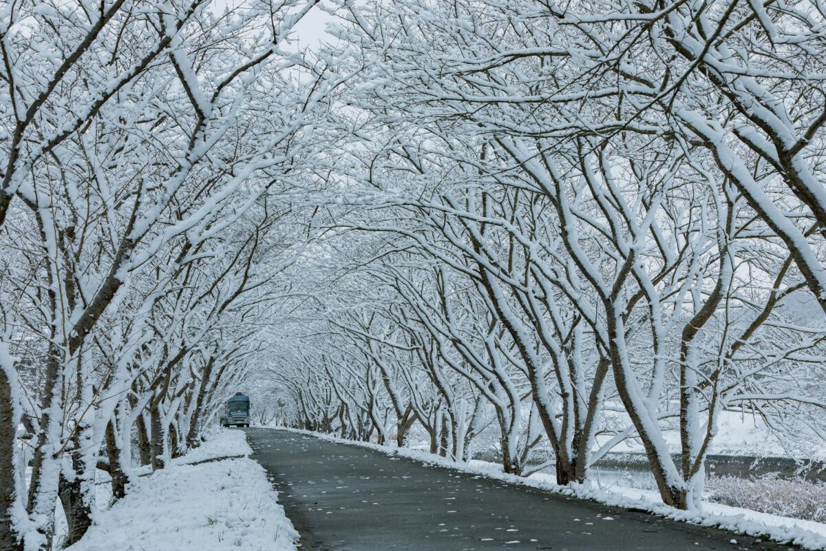 Lietuvos gamta keturiems sezonams: gražiausi žygių maršrutai