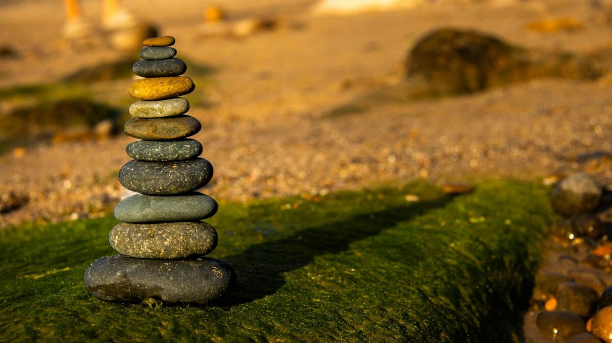 Riebios odos priežiūra: kaip kontroliuoti blizgesį neišsausinus odos