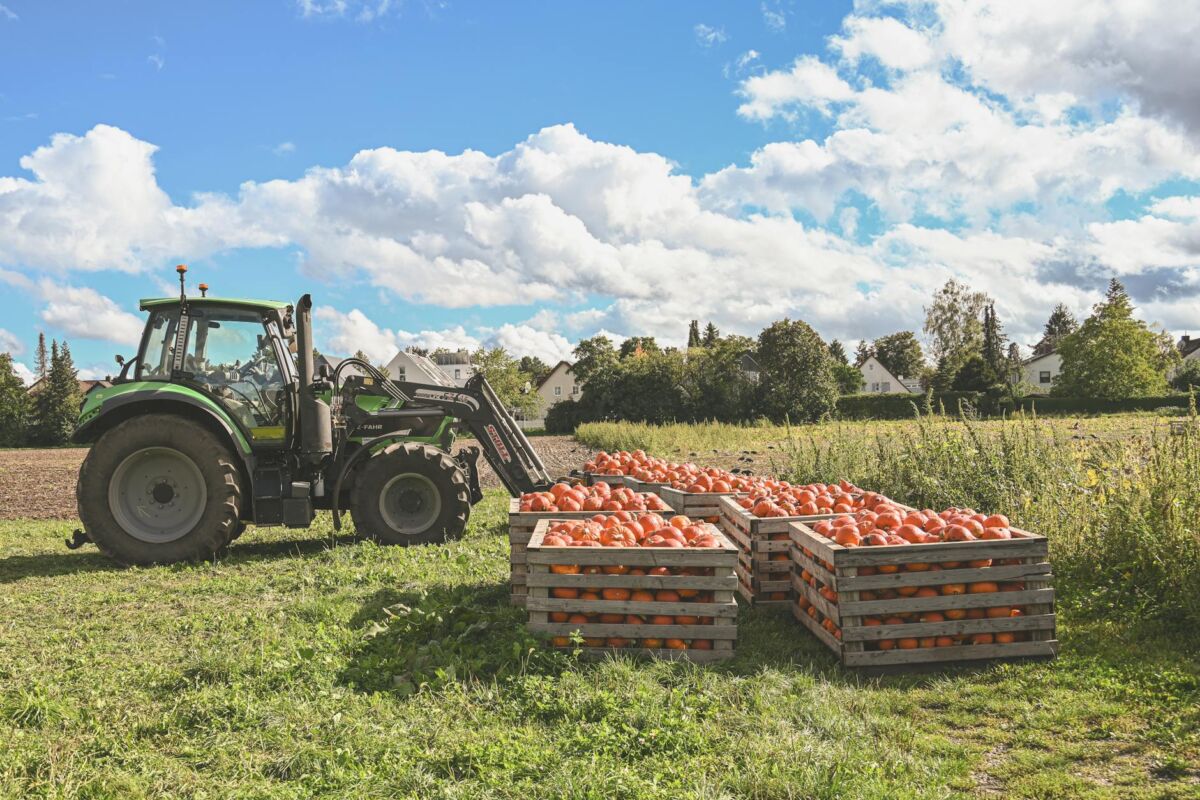 Sezoninių produktų kalendorius Lietuvoje