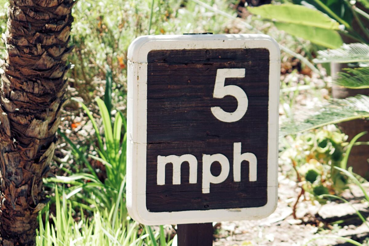 WordPress svetainės greičio optimizavimas pradedantiesiems