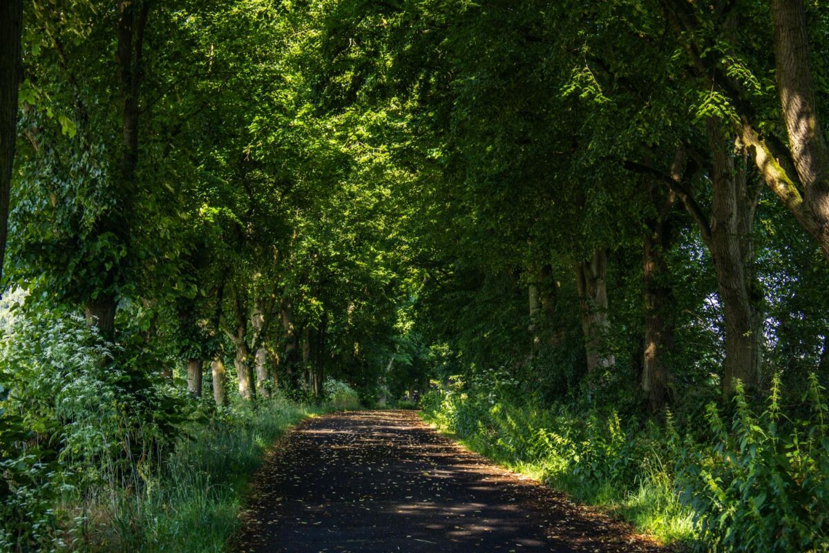Ekologinis turizmas Lietuvoje: tvaraus keliavimo vadovas
