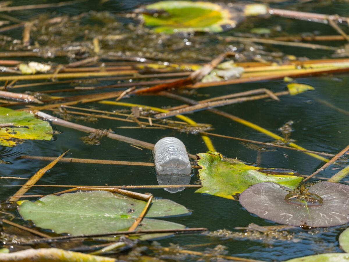 Vandens telkinių apsauga Lietuvoje: ką kiekvienas gali padaryti