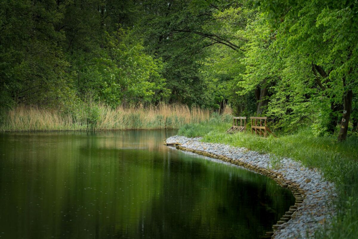 Vandens telkinių apsauga Lietuvoje: ką kiekvienas gali padaryti