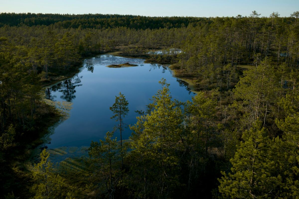 Vandens telkinių apsauga Lietuvoje: ką kiekvienas gali padaryti
