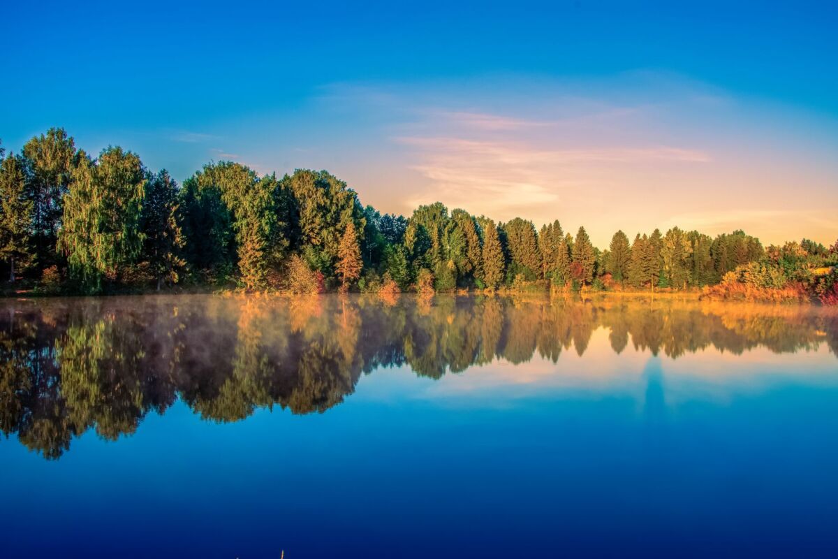 Kuršių nerija: pilnas lankytojo vadovas