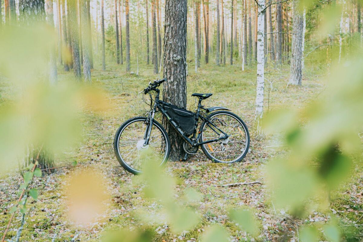 Lietuvos dviračių takų tinklas: pilnas gidas