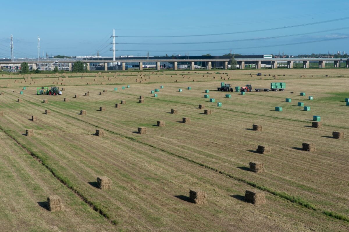 Lietuvos žemės ūkis: nuo tradicinio ūkio prie modernaus agrobiznesio