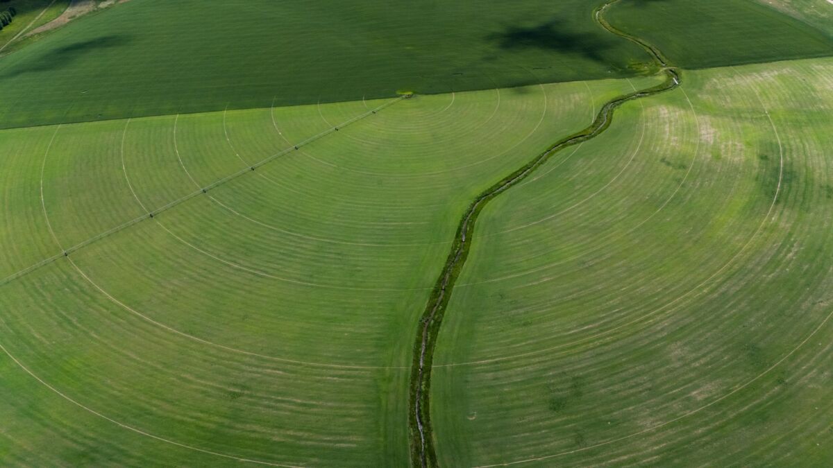Lietuvos žemės ūkis: nuo tradicinio ūkio prie modernaus agrobiznesio