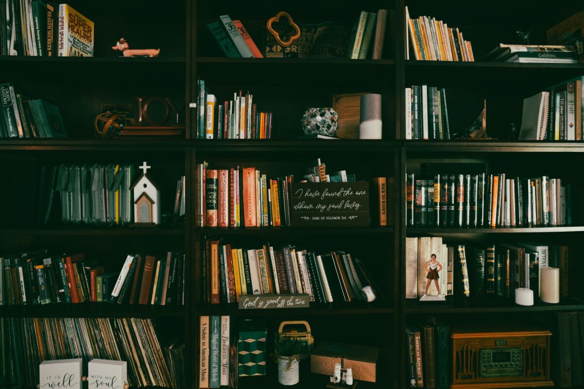 Namų biblioteka: kaip organizuoti ir kuruoti knygų rinkinį