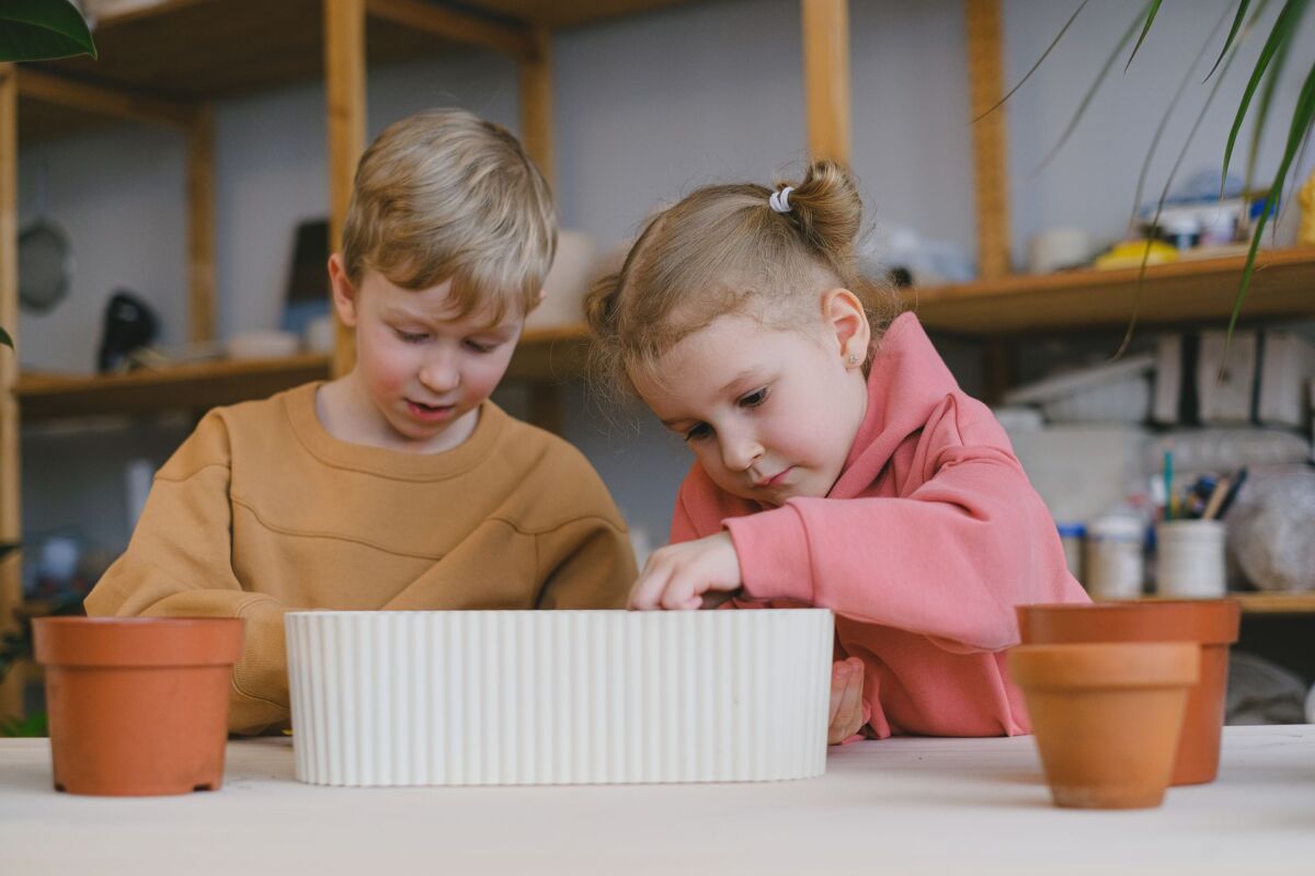 Namų daržas su vaikais: kaip įtraukti ir ką auginti