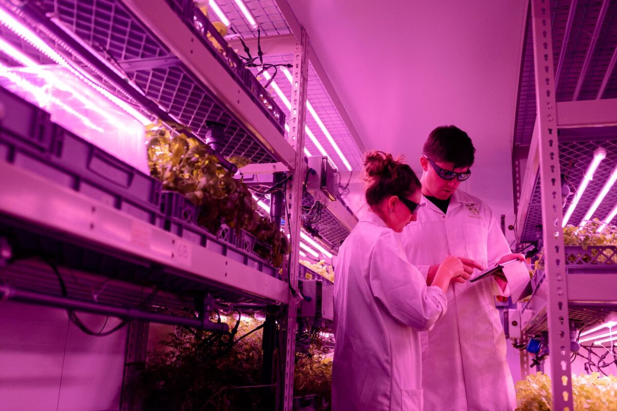 Naujos technologijos žemės ūkyje: smart farming galimybės