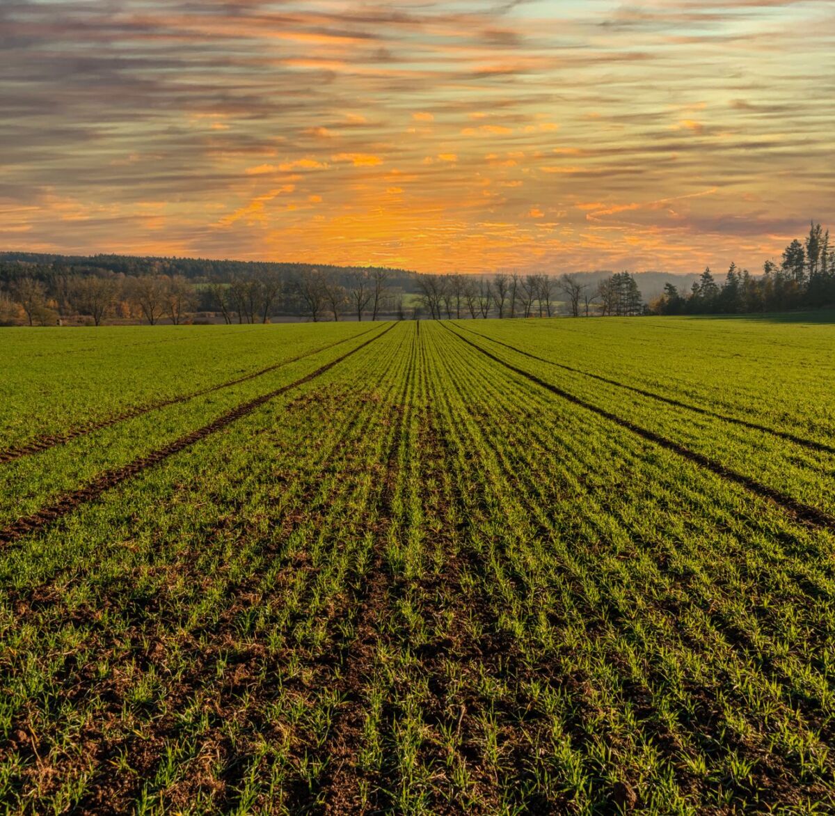 Naujos technologijos žemės ūkyje: smart farming galimybės